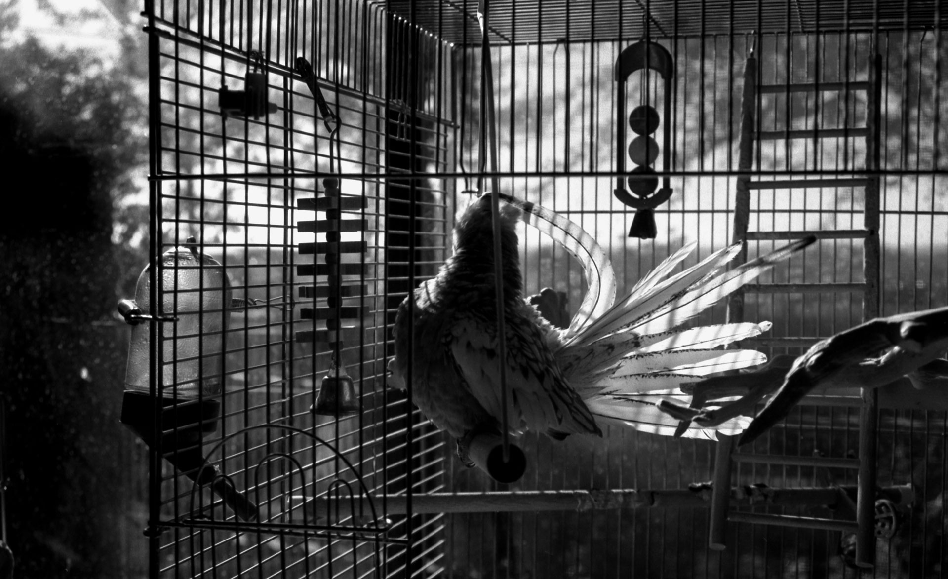 Nicole Pahl Photography